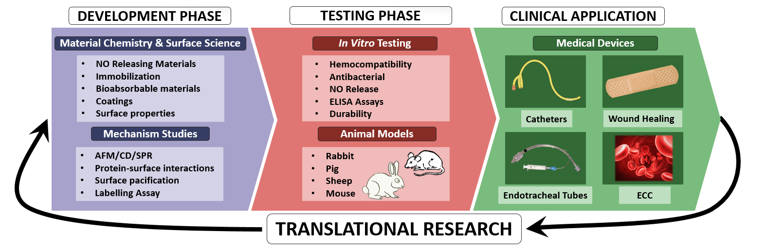 translational research figure for website (cropped)